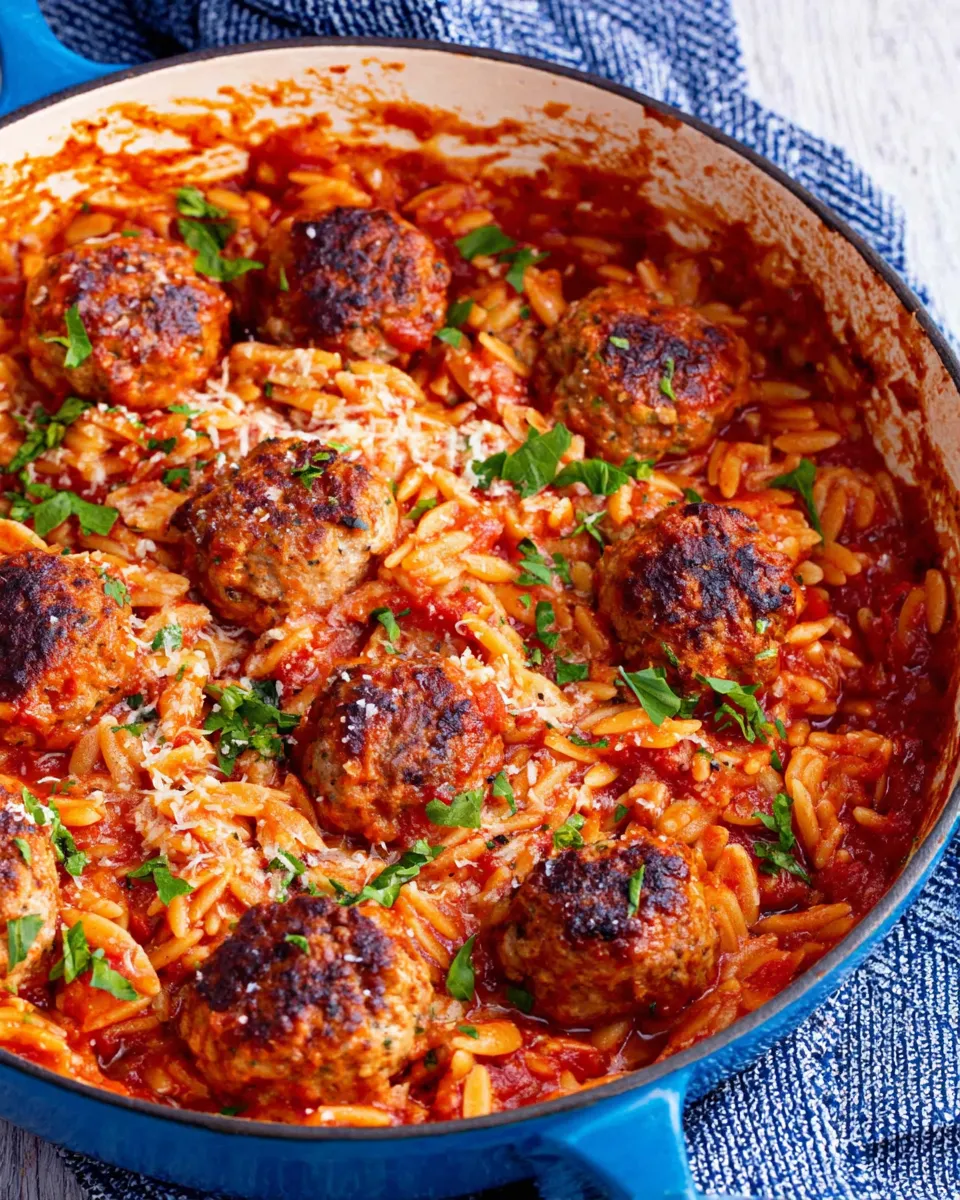 Classic One Pot Chicken Meatball Orzo dish photo