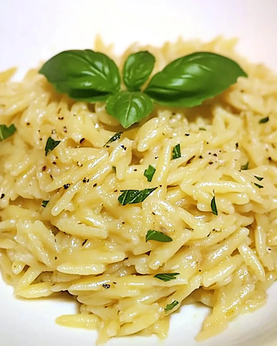 Delicious Parmesan Basil Orzo shot