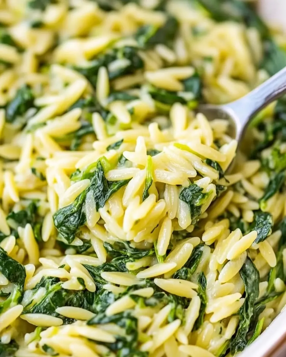 homemade Quick & Easy Creamy Spinach Orzo photo