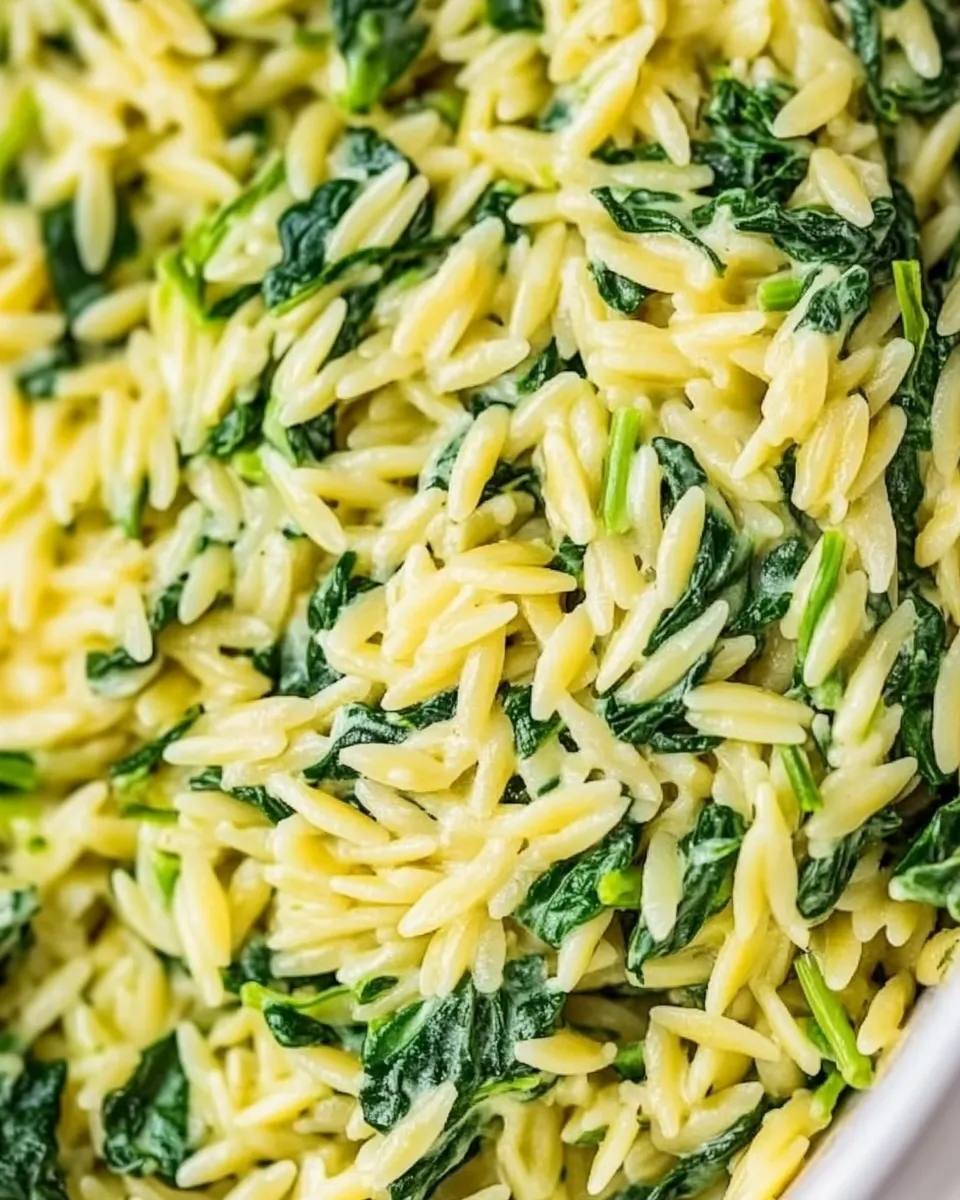 delicious Quick & Easy Creamy Spinach Orzo shot